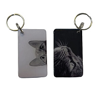 Заготовка ключа для домофона RFID мини-карта "Кошка"