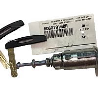 Личинка Двери Renault Captur 2017-2022 2 вставки смарт карты