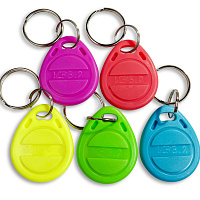 Заготовка ключа для домофона MF-3.2 (цвет микс)